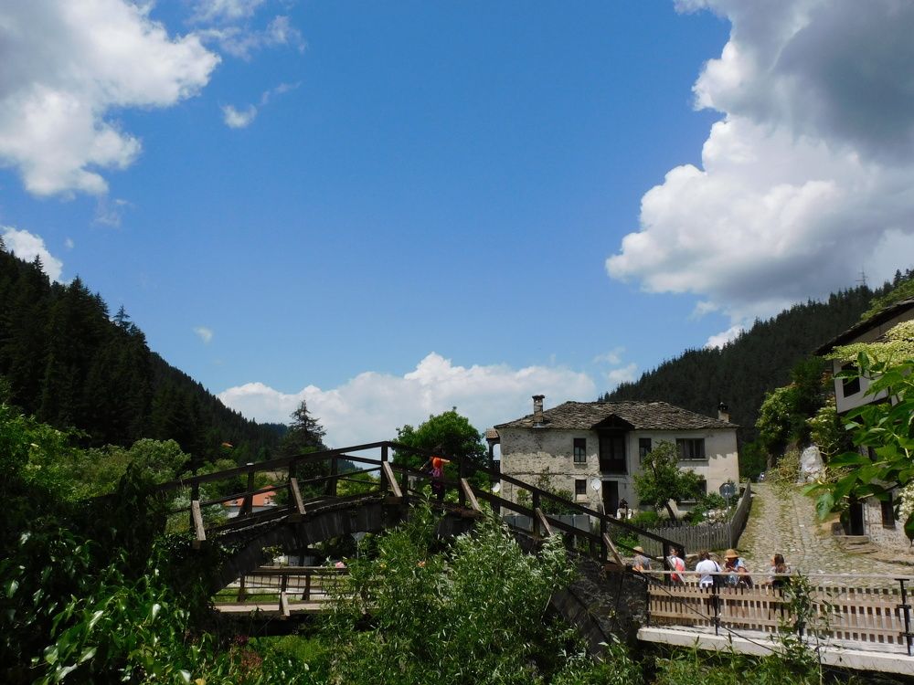 Photograph by Алмерия Монева