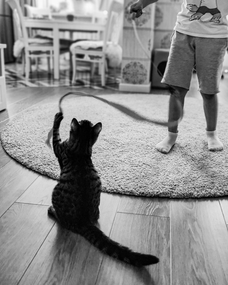 Photograph by Наталья Асоскова