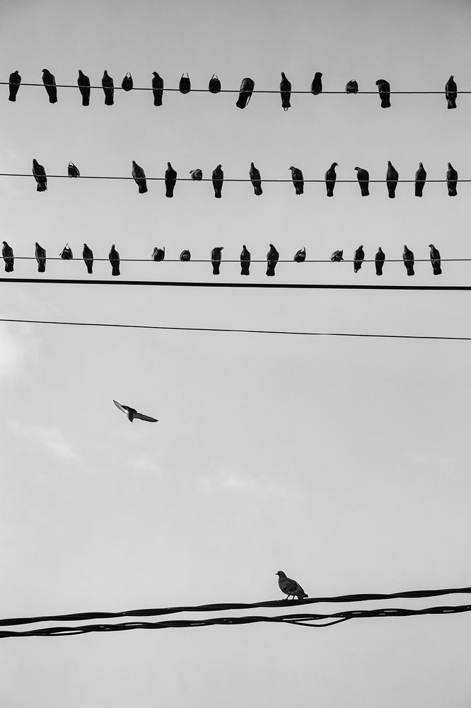 Фотография автора Laddu Sasindu Pramuditha De Silva