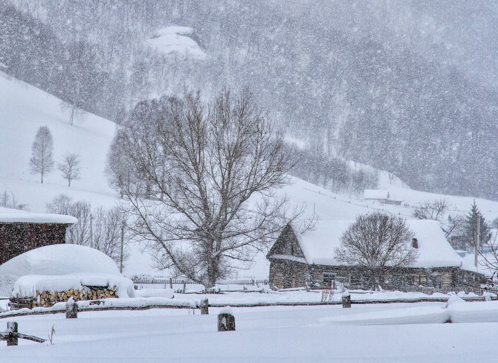 Photograph by Тамара Андреева