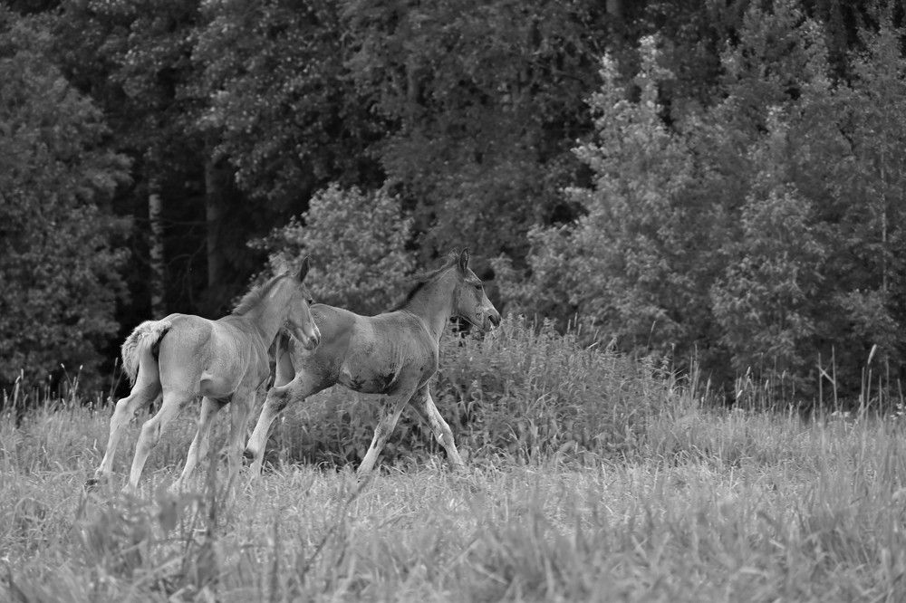 Фотография автора IRINA FILIPPOVA