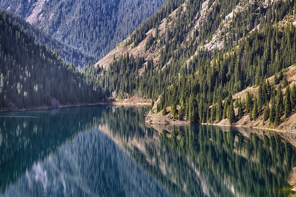 Photograph by Тамара Андреева