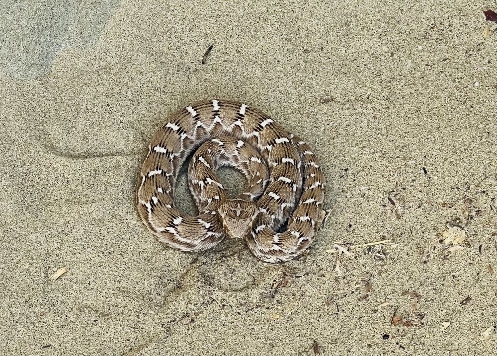 Photograph by Розалия