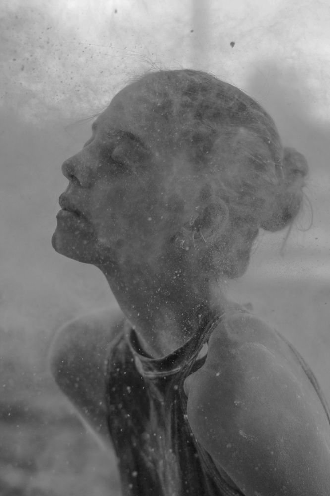 Photo #8528969