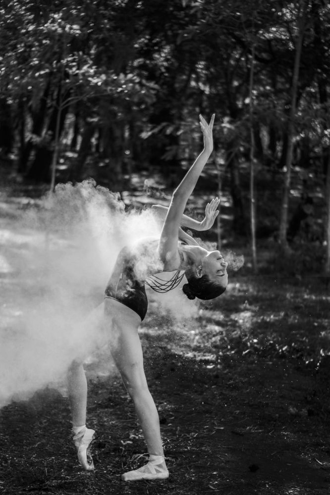 Photo #8528970