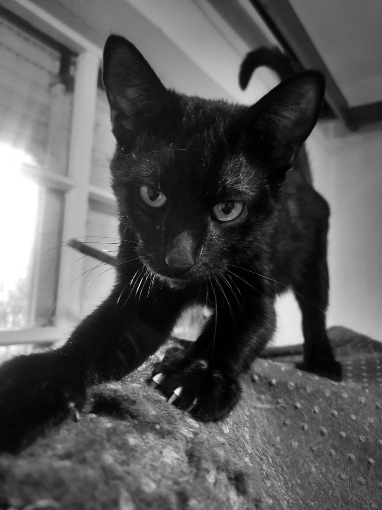 Photograph by Nikolett Mengyi