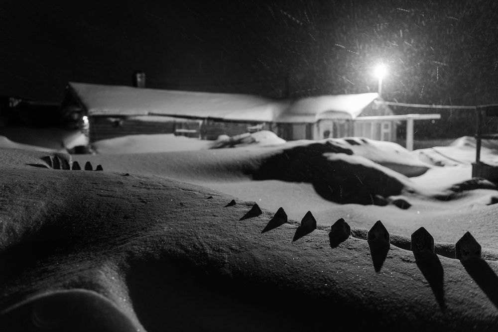 Photograph by Крицак Ольга