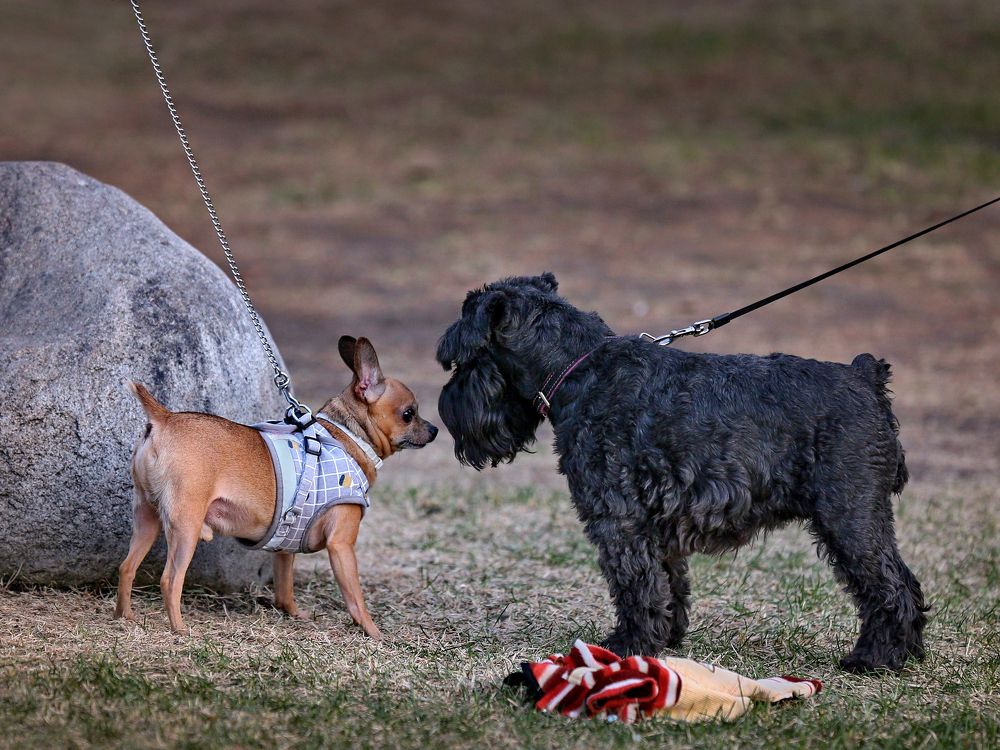 Photograph by Аркадий Ишимов