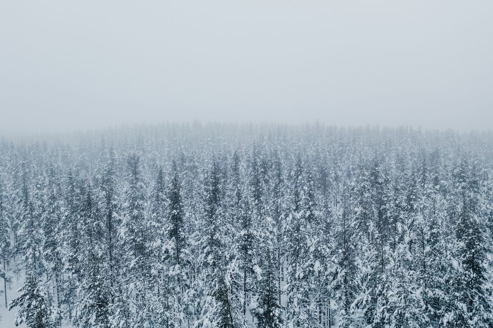 Photograph by Евгений Краснов