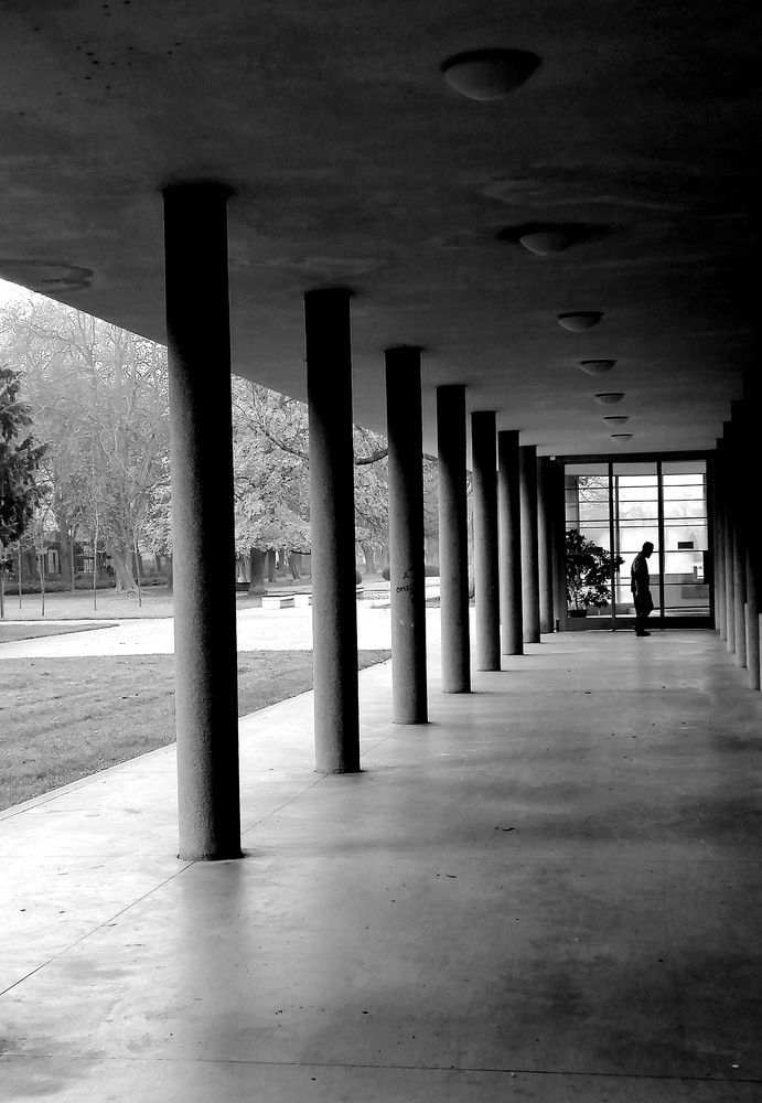 Фотография автора Мирослав