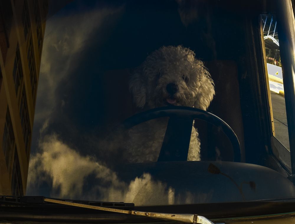 Photograph by Rodolfo Durán