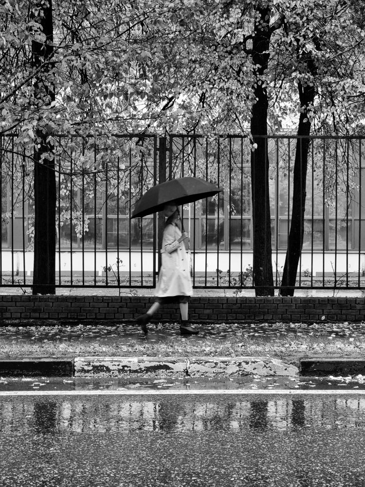 Photograph by Асад Ибадов