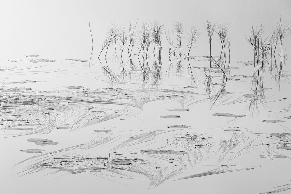 Photograph by Крицак Ольга