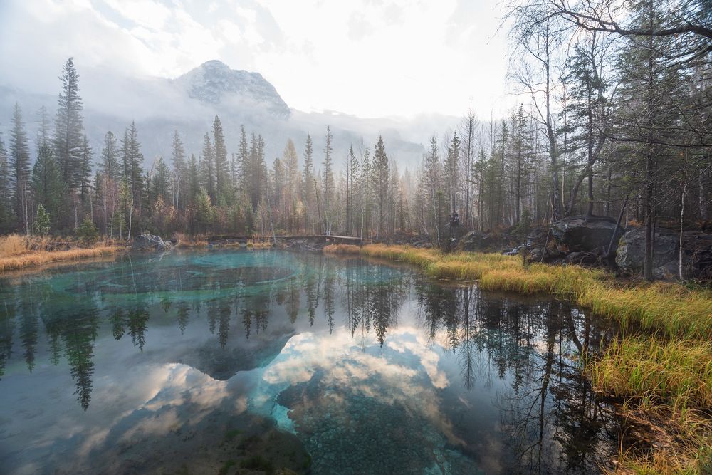 Photograph by Крицак Ольга