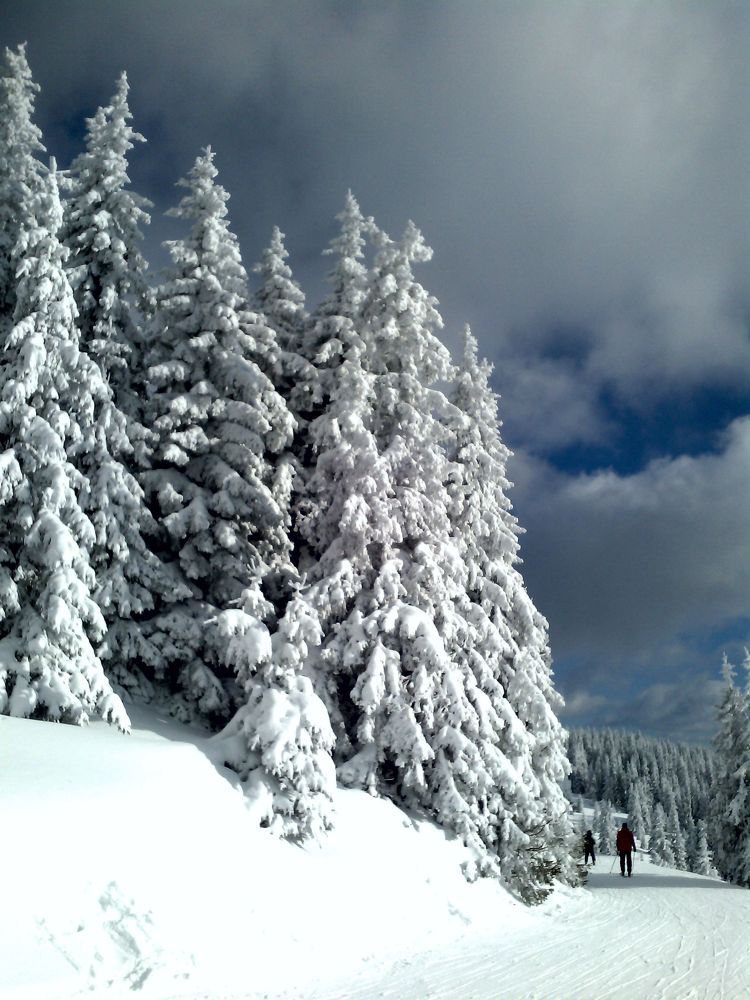 Photograph by Stoyan Baev