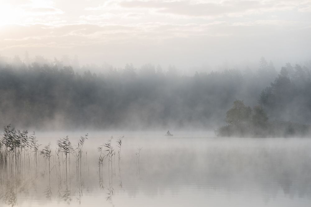 Photograph by Крицак Ольга