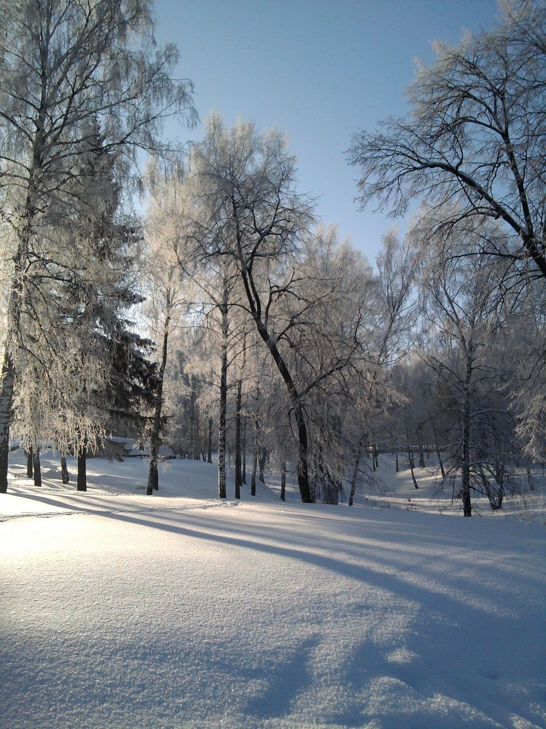 Photo #8529107