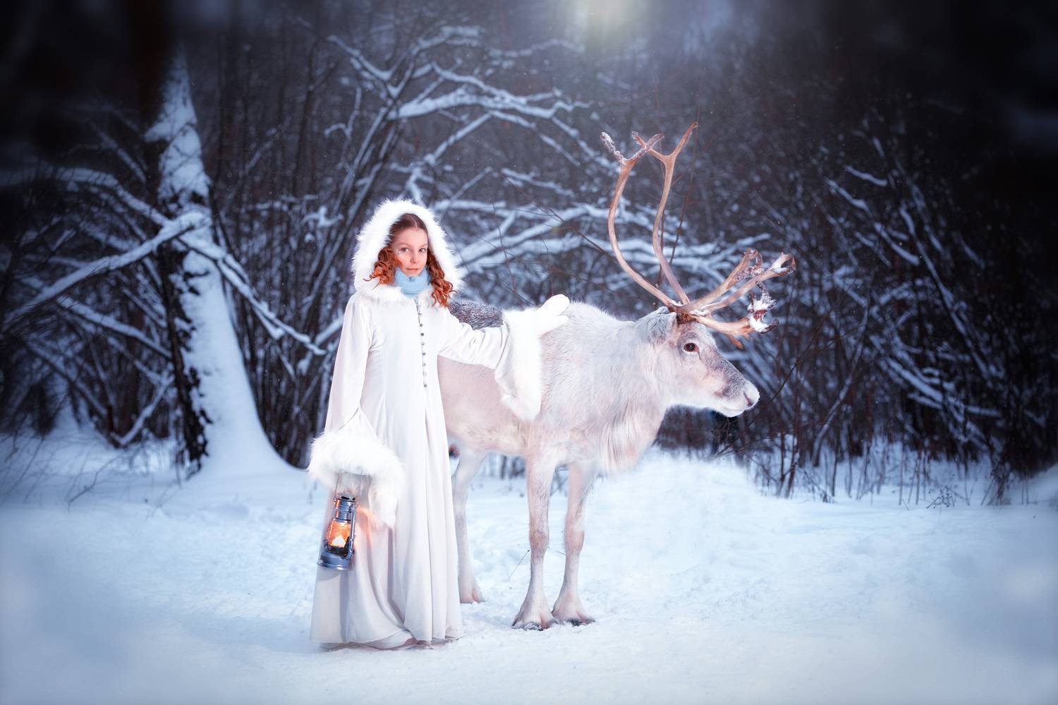 Photo #8529110