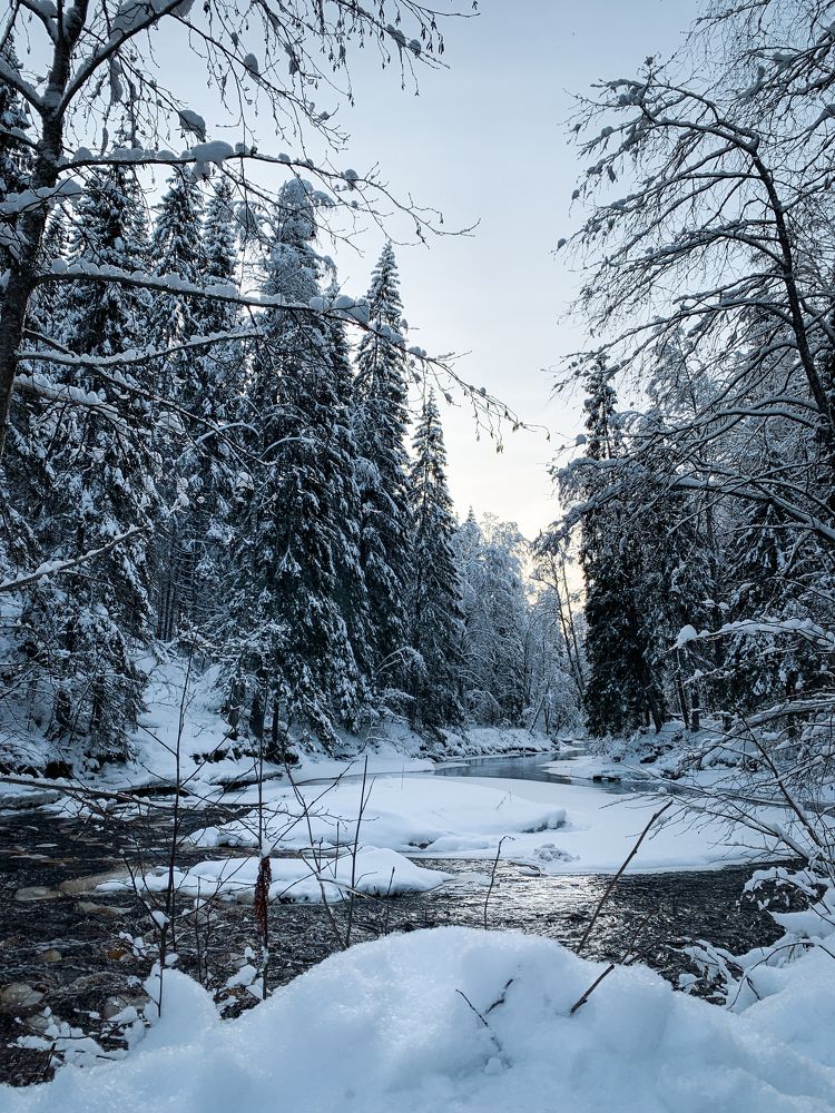 Photograph by Sergey Anfalov