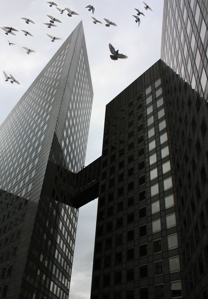 Фотография автора Наталья Белова