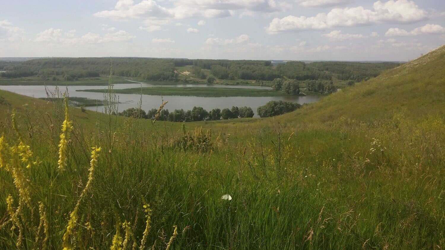 Photo #8529209