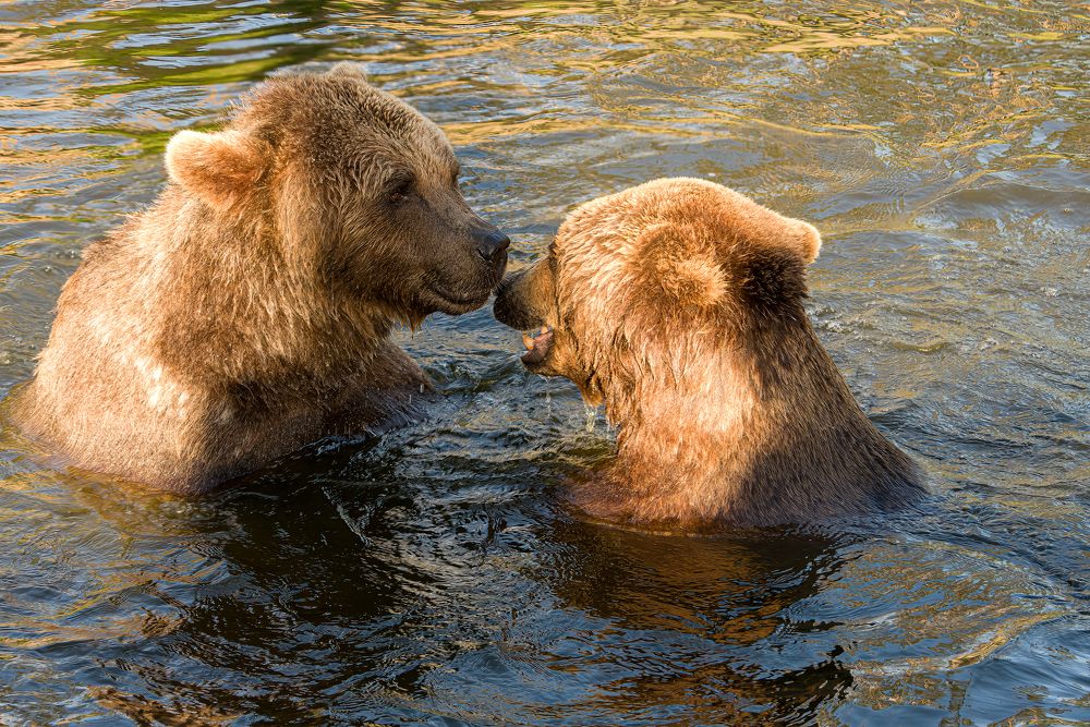 Фотография автора Julia A Caesar