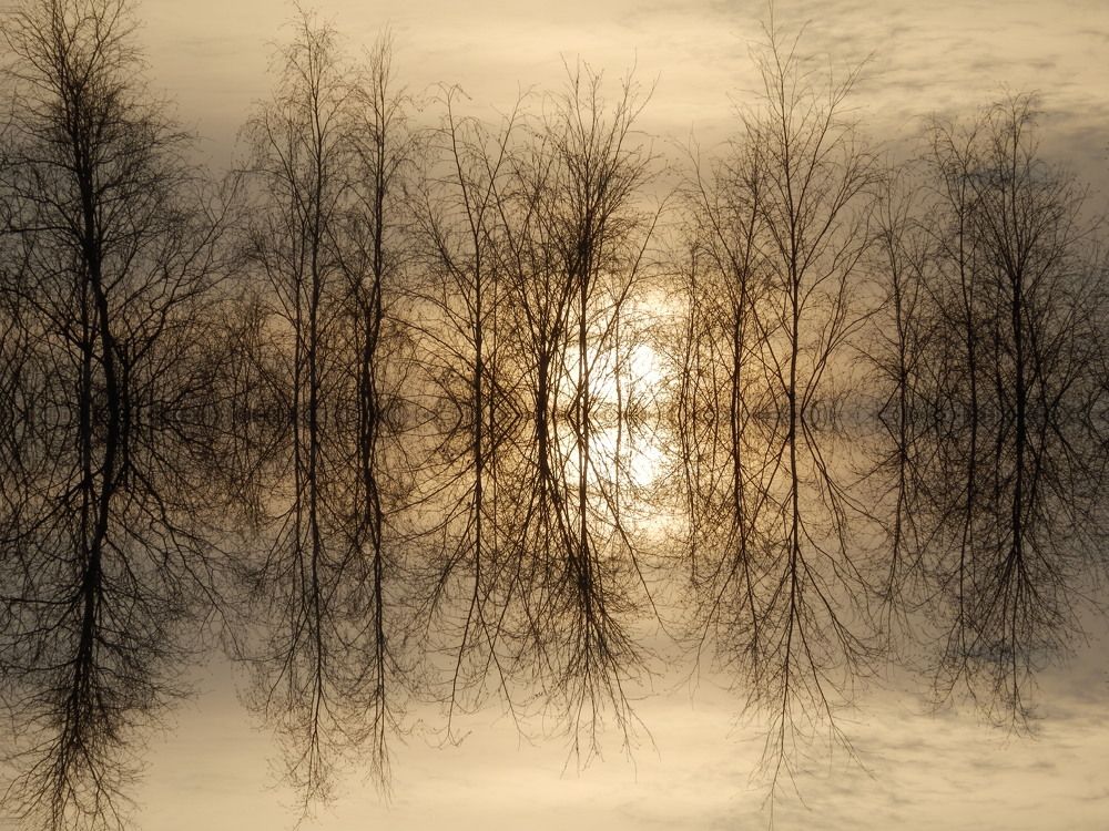 Photograph by Георгий Салюков