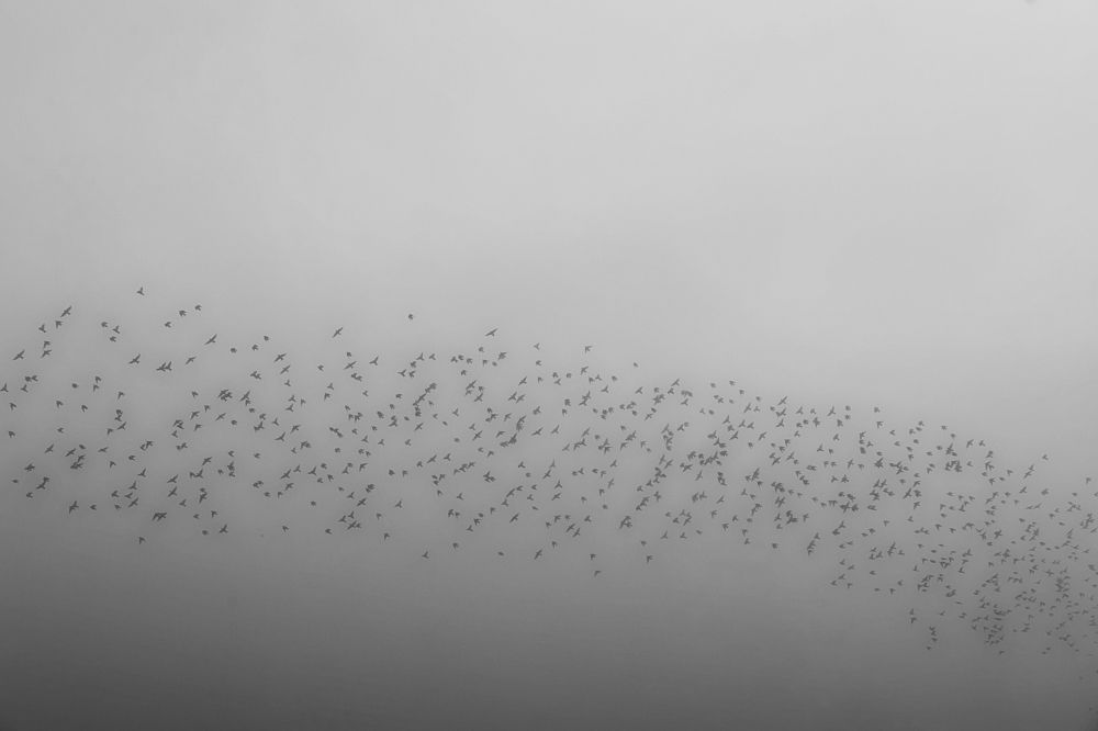 Photograph by Вербицкий Петр