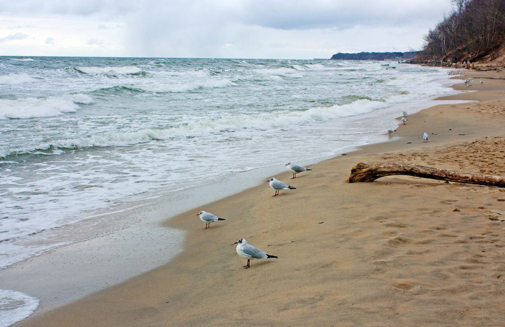 Photograph by Мария Самоловова