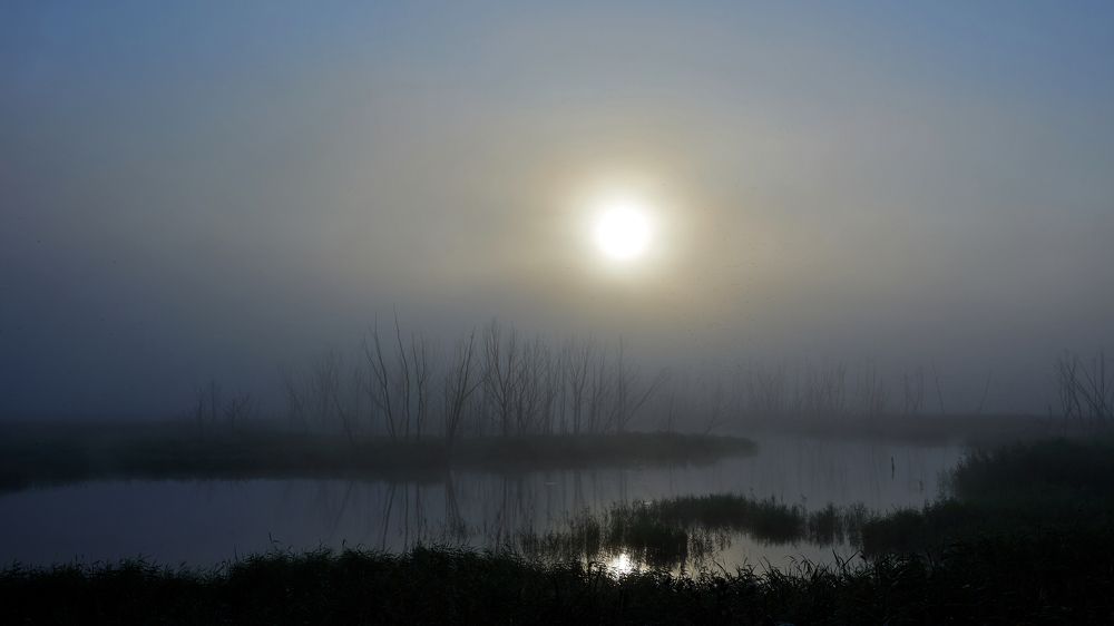 Photograph by Вербицкий Петр