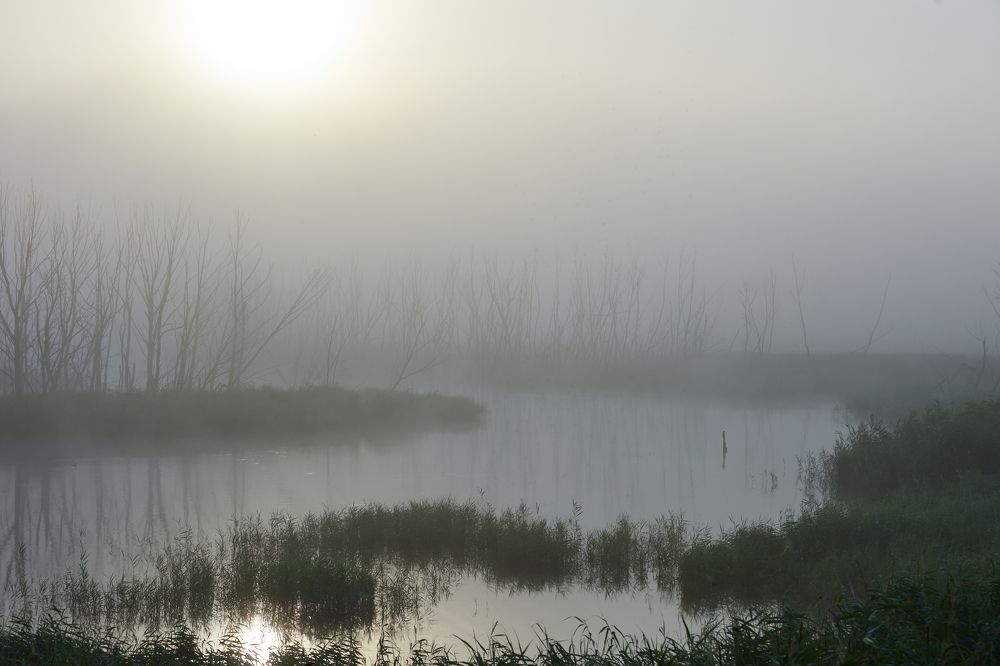 Photograph by Вербицкий Петр