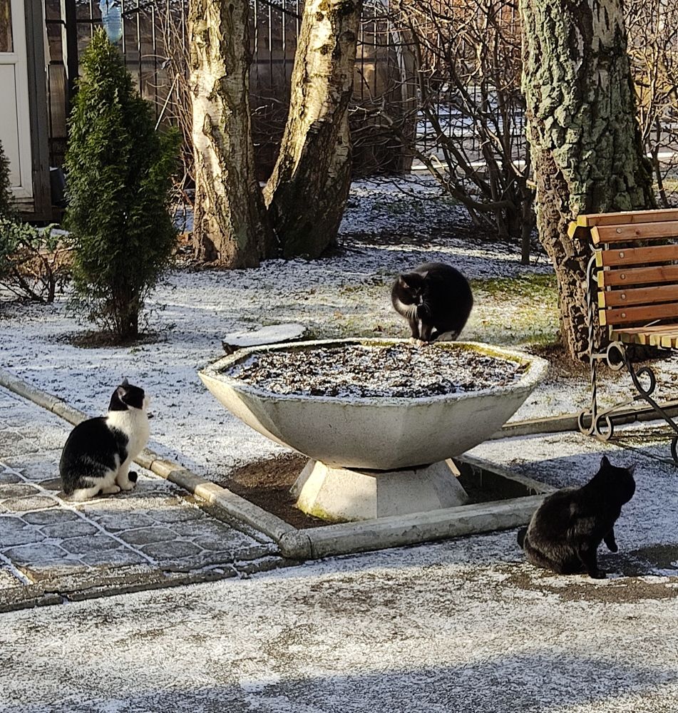 Photograph by Мария Самоловова