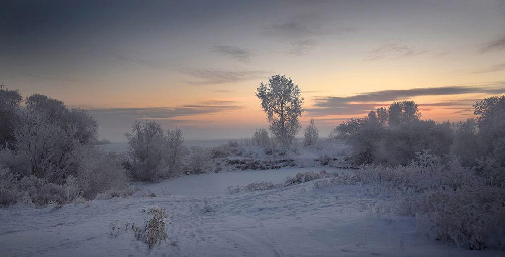 Photograph by Светлана Крат