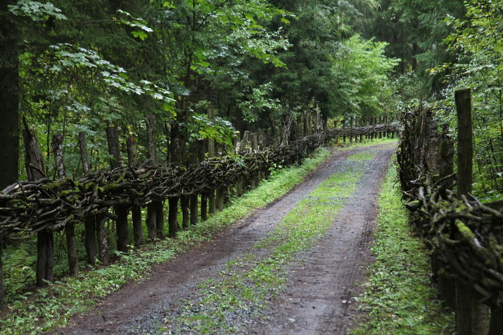 Photograph by Мария Самоловова