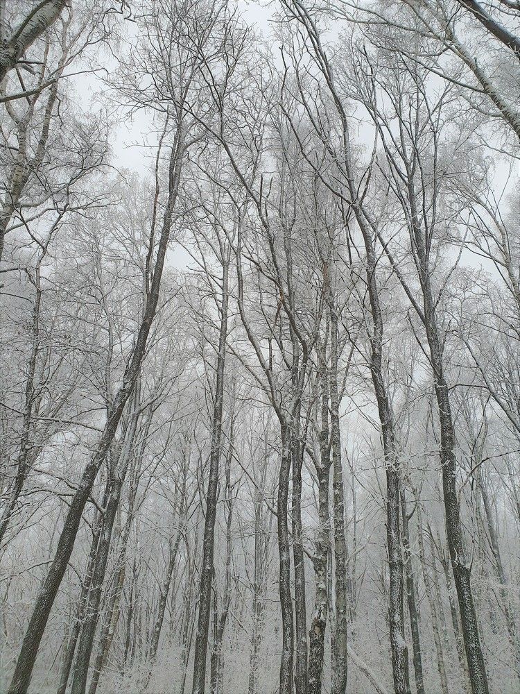 Photograph by Яна Галимуллина