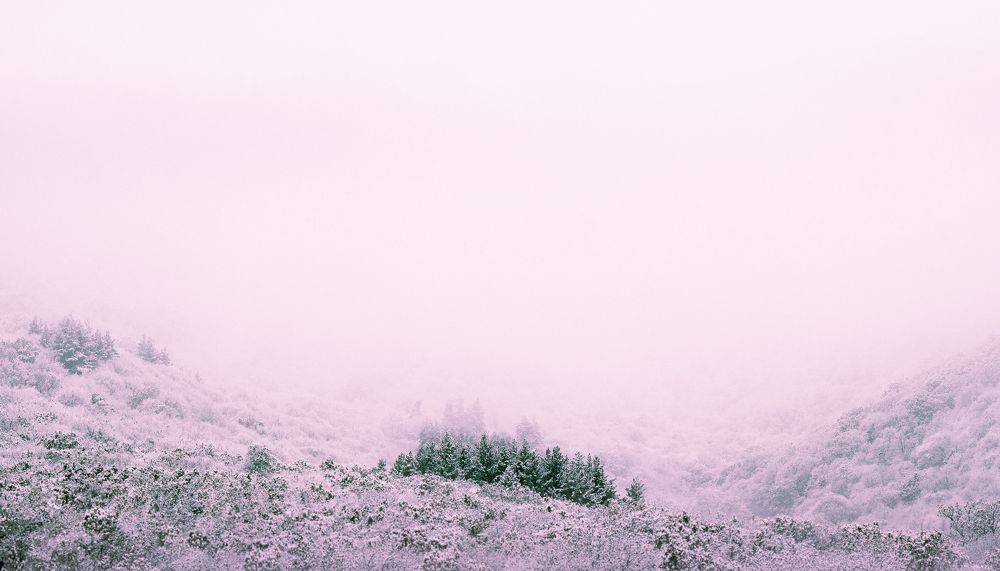 Photograph by Oleg Kozachok