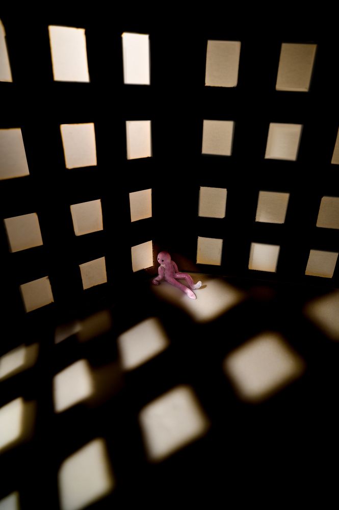 Фотография автора Караваев Антон