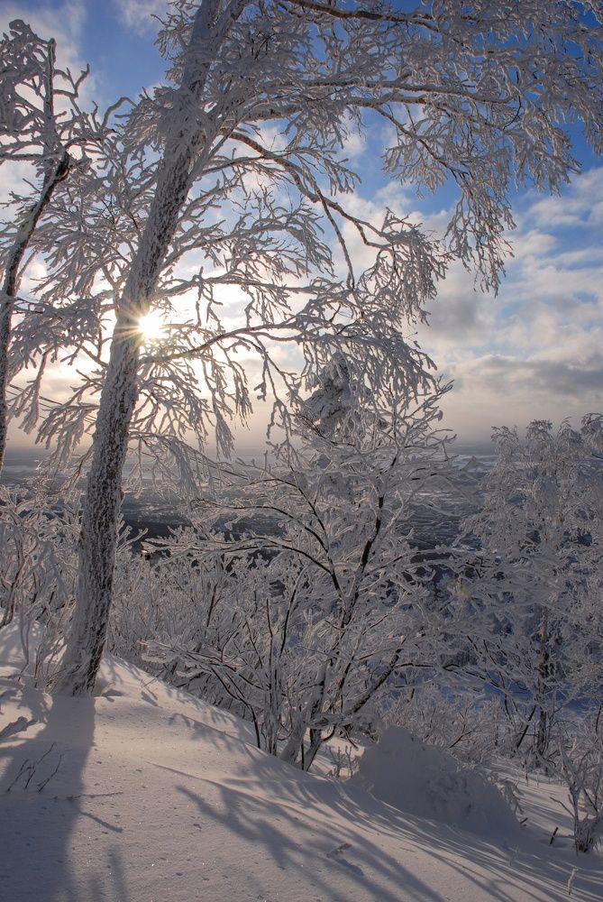 Photograph by Василиса Ногина