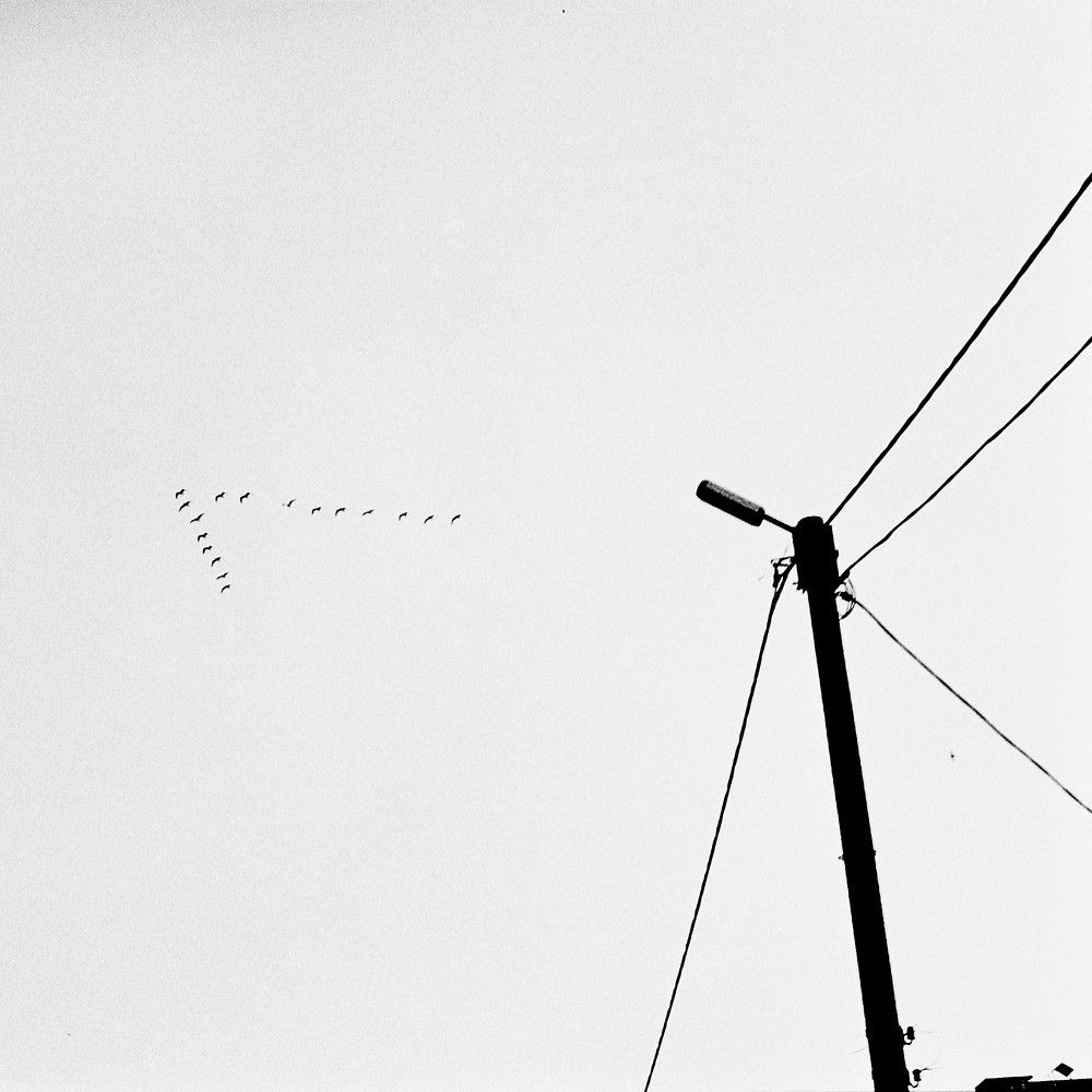 Photograph by Алексей Мороз