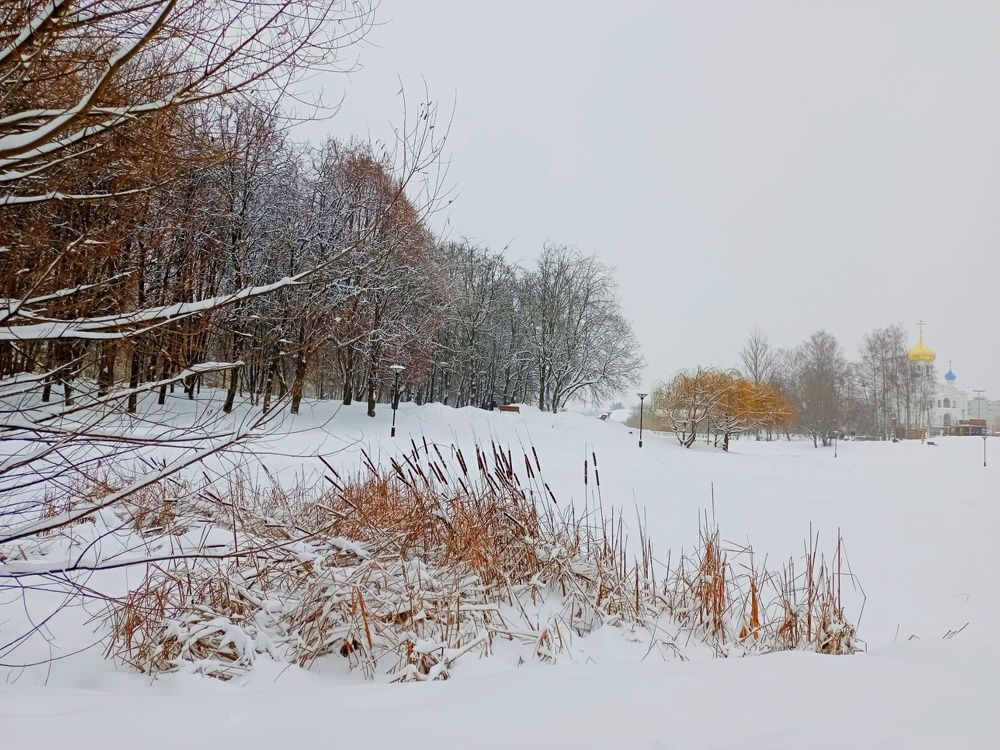 Photograph by Елена Лепешкина