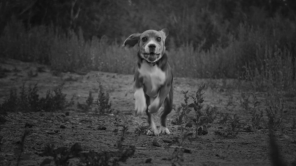 Photograph by Гурылев Алексей