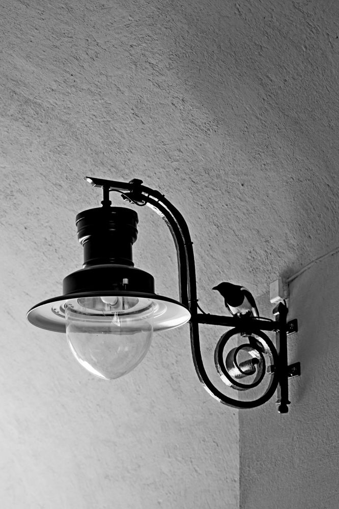 Фотография автора Сергей Барановский