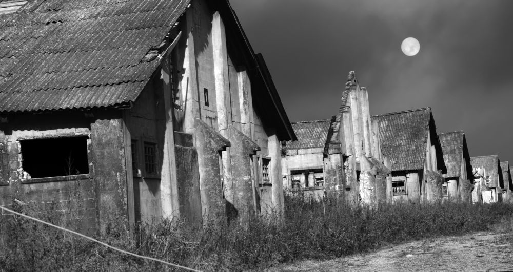 Сталкер