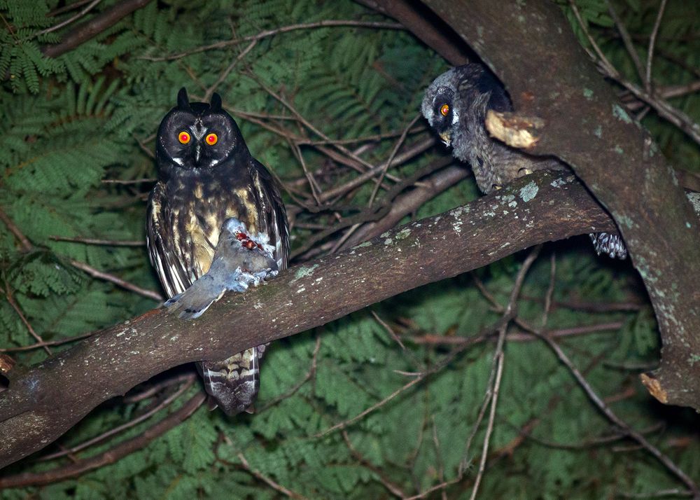 Photograph by Valdir Hobus