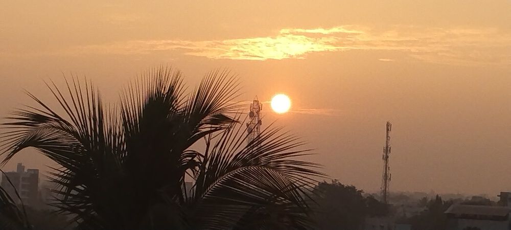 Photo #8529532