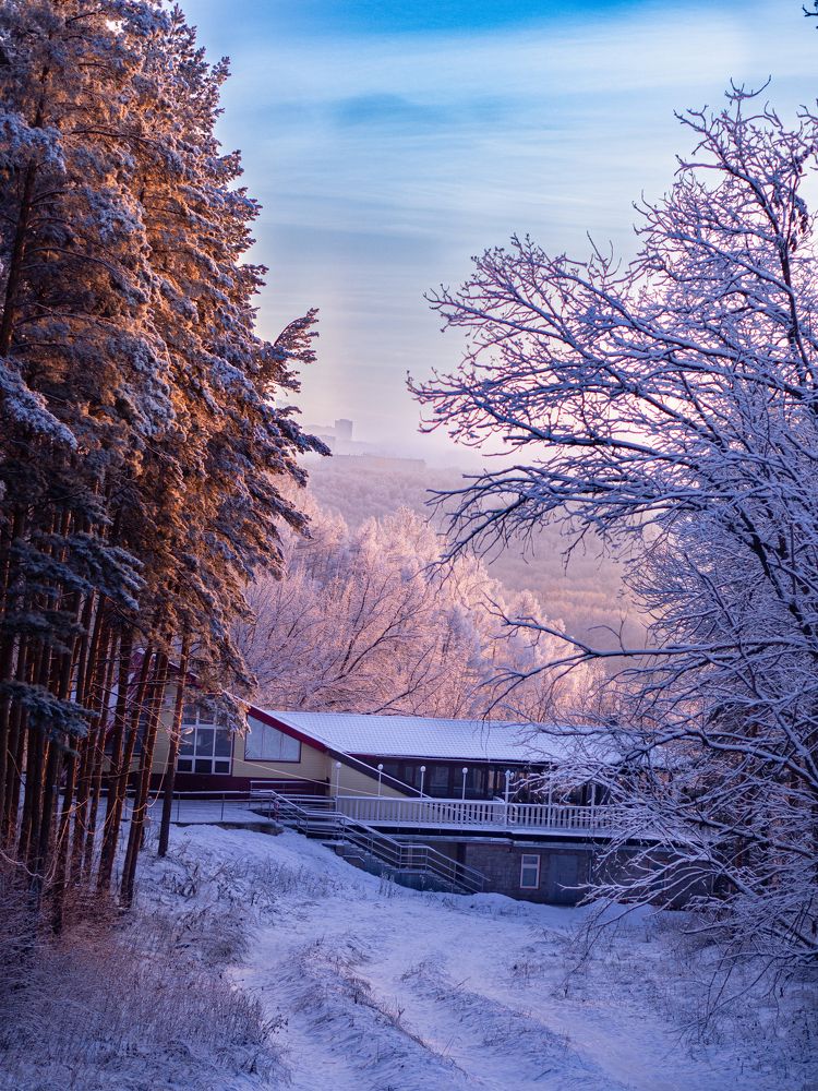 Photograph by Larisa Usova