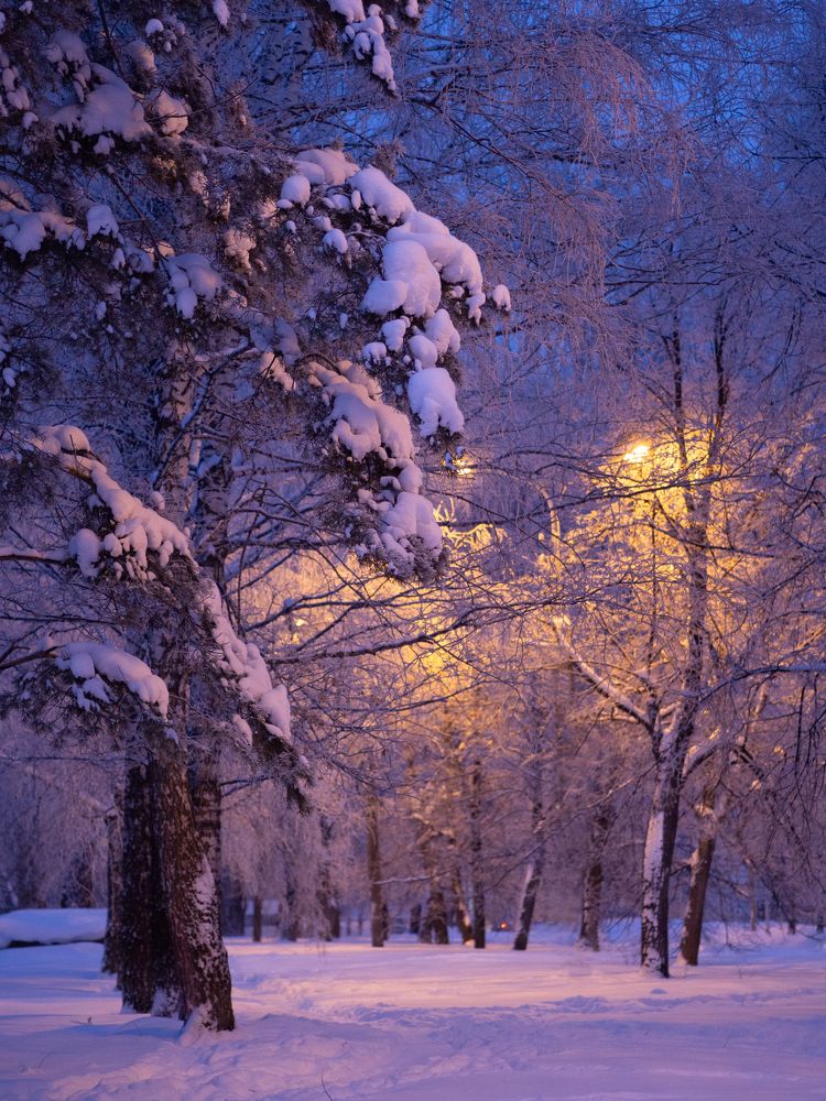 Photograph by Larisa Usova