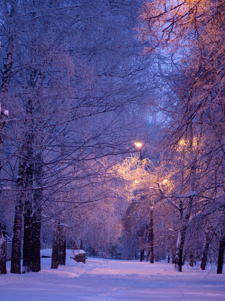 Photograph by Larisa Usova