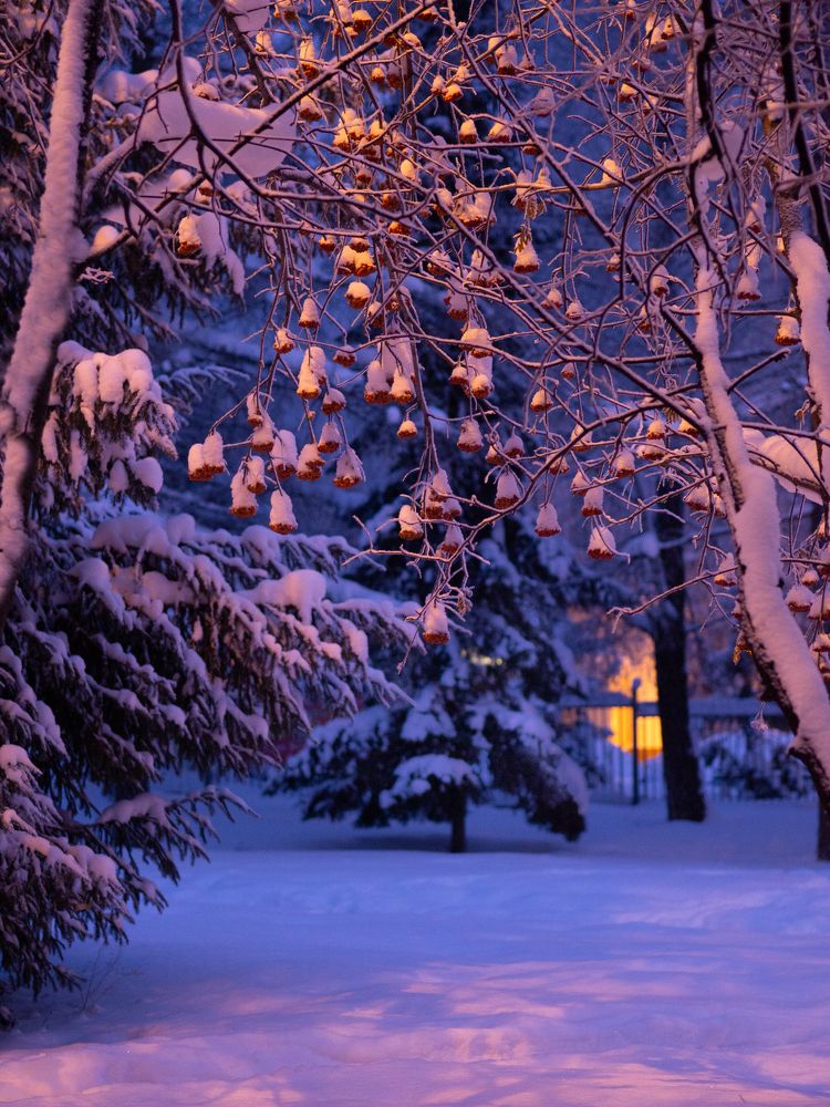 Photograph by Larisa Usova