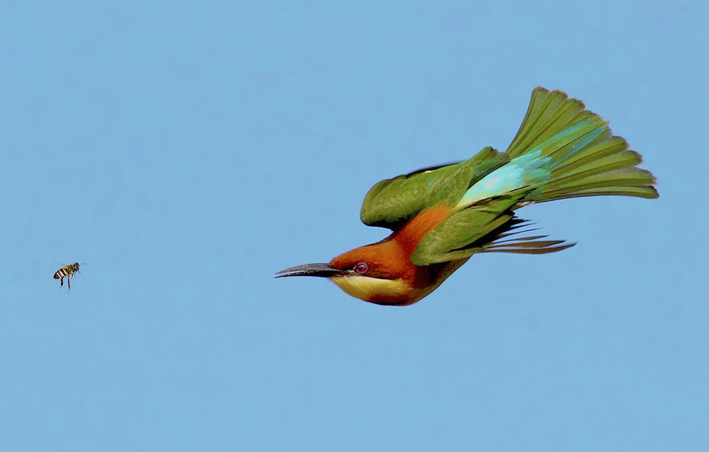 Photograph by Graeme Guy